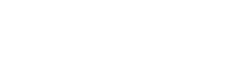 4security logo